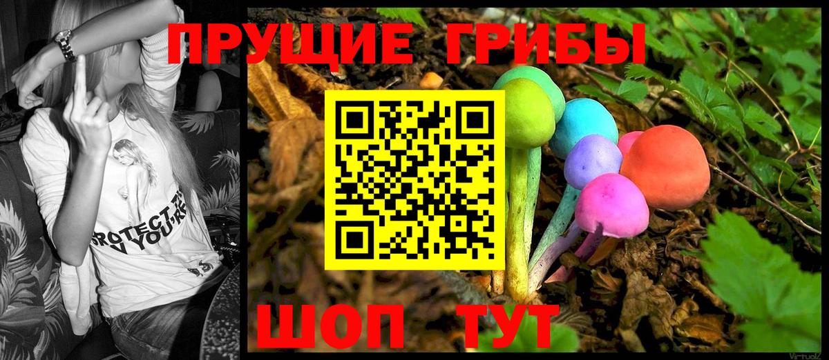 Галлюциногенные грибы MAGIC MUSHROOMS Юрга